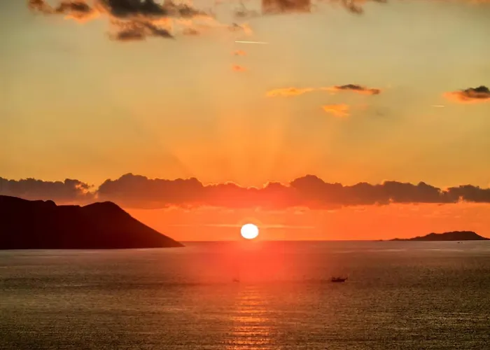 Hotel apartamentowy Kaktus