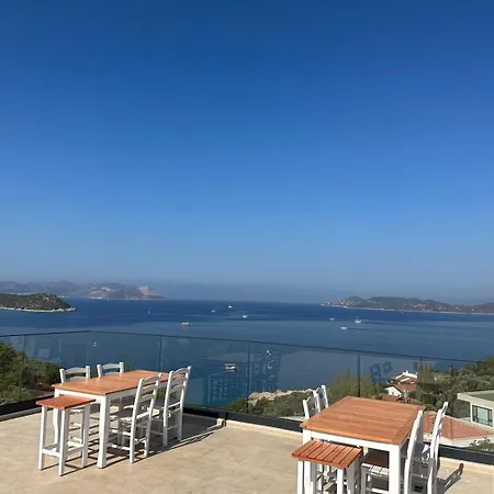 Kaktus Kaş