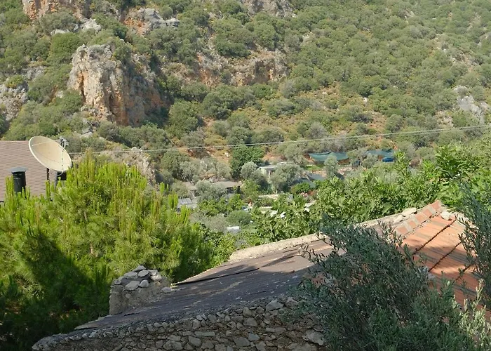 Kaktus Aparthotel 3*