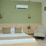 Kaktus كاس