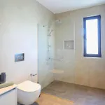 Kaktus 3* كاس